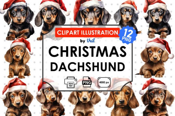 Christmas Dachshund Clipart Sublimation & Illustrations
